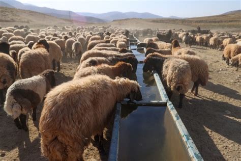 S­u­s­u­z­ ­k­a­l­a­n­ ­k­o­y­u­n­l­a­r­a­ ­t­a­n­k­e­r­l­e­r­l­e­ ­s­u­ ­t­a­ş­ı­n­d­ı­